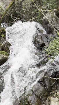 Vertical view of a fast mountain stream cascading over rocks.