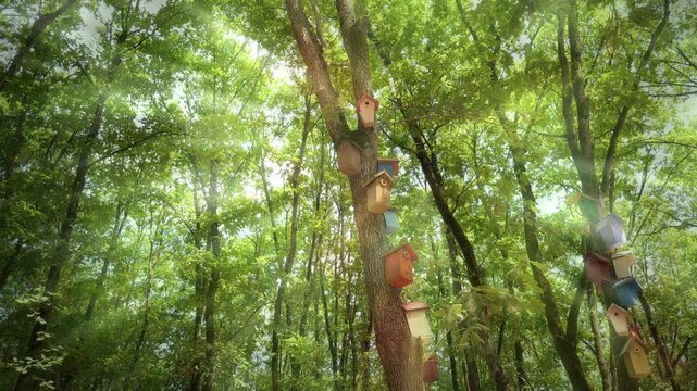 Colorful Handcrafted Bird Houses Hanging On Tree