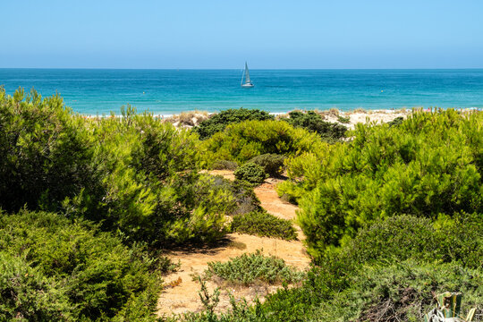 Sand dunes in front of La Barrosa beach in Sancti Petri, Chiclana de la Frontera, Cadiz, Spain