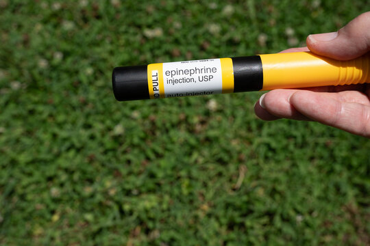 Johnson City, Tennessee, United States-06/11/2026:  Hand holding an Epinephrine auto injector pen used to treat severe allergic reactions such as anaphylaxis.