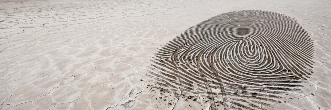 Fingerprint Tire Track Pattern on White Sand
