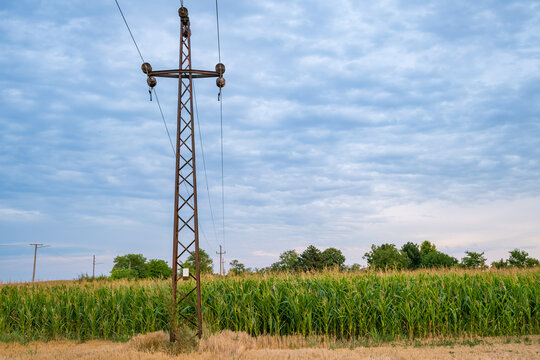 Rust-colored lattice power transmission pole with overhead wires above a green cornfield and dry grass beneath a blue cloud-filled sky