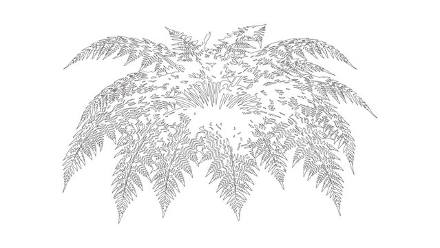 farn vector design template fully editable