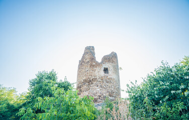 Weathered Vrdnicka Kula stone tower ruin surrounded by dense green foliage beneath a spacious bright blue sky in Fruska Gora, Serbia © Mila