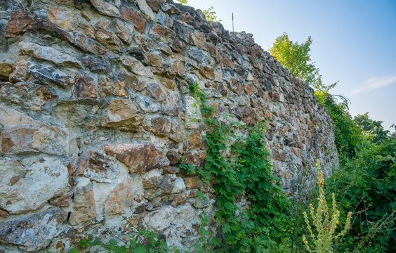 Weathered stone wall ruins of Vrdnicka Kula surrounded by green vegetation under a clear blue sky in the Fruska Gora landscape, Serbia
