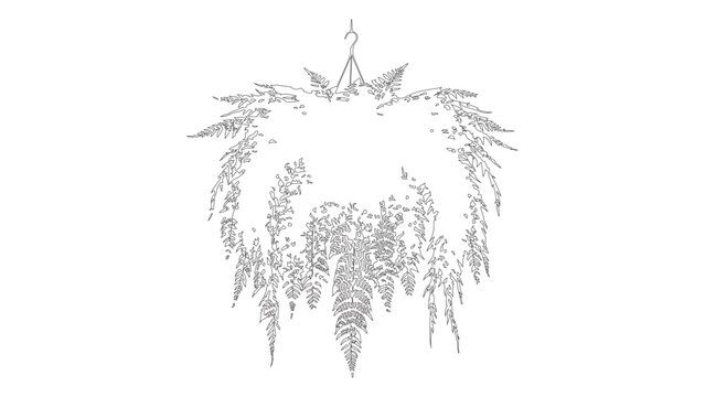 farn vector design template fully editable