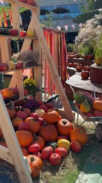 Fall harvest festival with many different pumpkins and chrysanthemums flowers on the hay. Farm market decoration with cozy fall mood