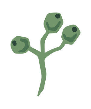 Mistletoe Berries Branch Holiday Cartoon