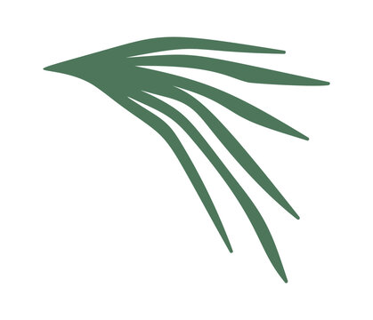 Pine Needle Sprig Silhouette Botanical