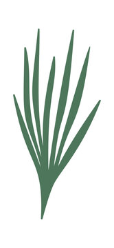 Pine Needle Bundle Botanical Silhouette