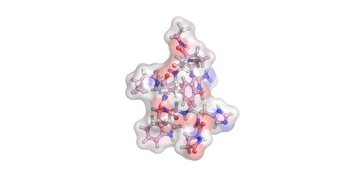 Leuprolide, powerful synthetic GnRH agonist that shuts down sex hormone production to treat prostate cancer, endometriosis, and precocious puberty, 3D molecule 4K