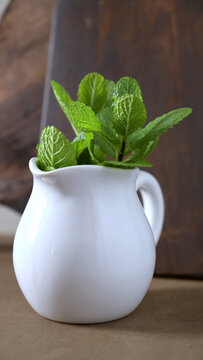 Fresh Mint Leaves in a White Ceramic Pitcher