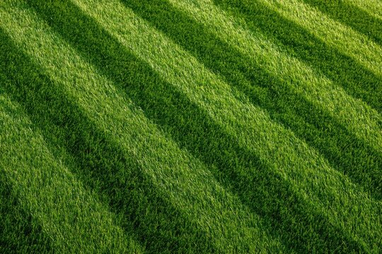 Close-up of neatly mown green grass with distinct parallel stripes from mowing
