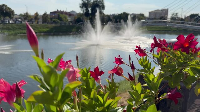 fountain in the park