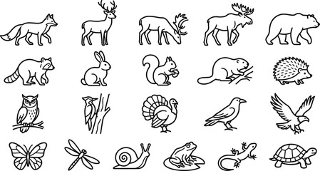 Obraz premium Forest animal line icons featuring woodland wildlife and insects.