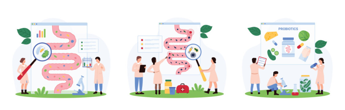 Digestive system health set. Tiny people with magnifying glass check healthy good, bad microorganism and bacterium in human intestine, recommend probiotics for relief cartoon vector illustration