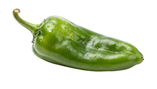 Padr&oacute;n Pepper: A single, vibrant green Padr&oacute;n pepper with a curved stem rests on a white background, showcasing its fresh, slightly wrinkled texture.
