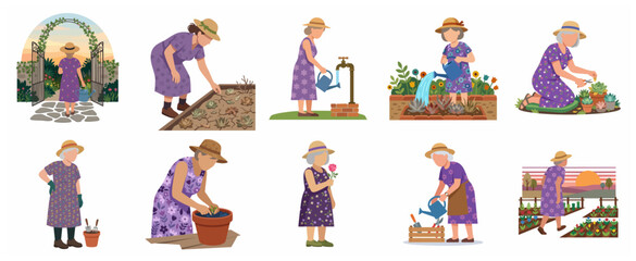 Naklejka premium Elderly women gardening vector illustration set, senior female characters planting flowers and watering plants in the garden