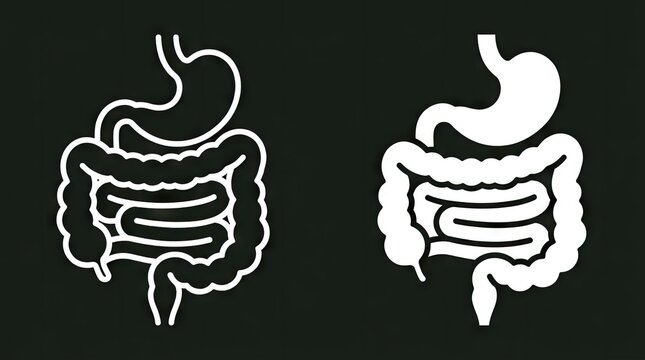 Human digestive system anatomy icon set.