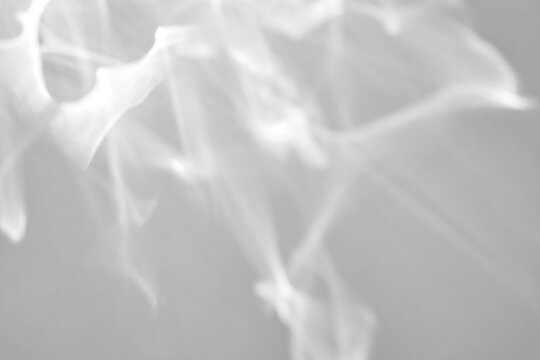 Real soft water caustic shadow cut out on a transparent png background with organic smoke-like wisps. Anchors abstract and surreal design as a png overlay for a minimalist beauty campaign.