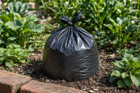 Trash Bag in a Flower Bed Instead of a Plant
Garbage Bag Replacing a Flower in a Garden Bed