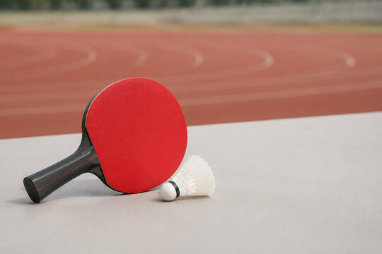 Table tennis paddle and badminton shuttlecock on neutral surface, sports equipment still life with copy space