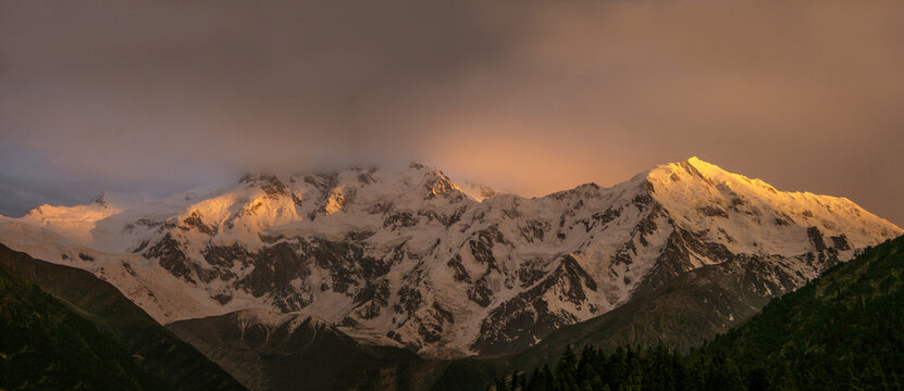 View of Nanga Parbat mountain with snow-capped peaks illuminated by golden hour sunlight under a cloudy sky with dark forest in the foreground in Pakistan.