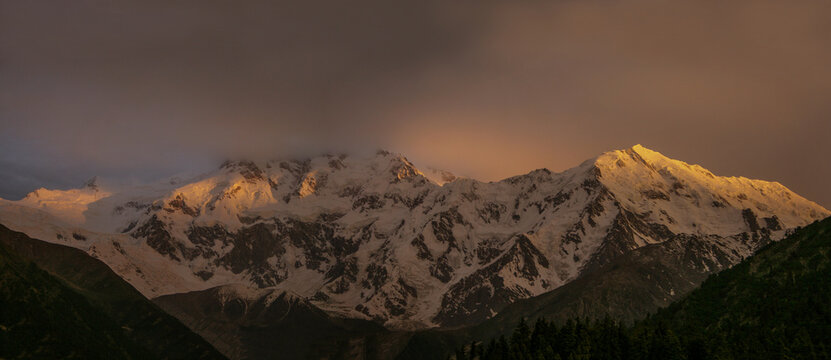 View of the snow-capped peaks of Nanga Parbat illuminated by golden hour light with dramatic clouds above and dark forest in the foreground in Chilas, Pakistan.