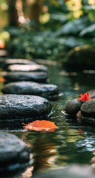 Stones create a path over water with fallen leaves and a flower
