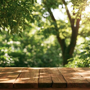 Sunlight filters through leafy branches onto a rustic wooden table