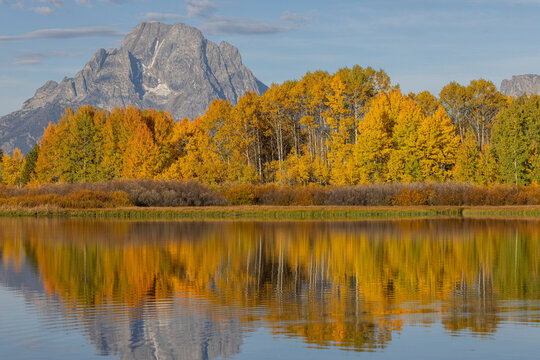 Scenic Autumn  Landscape Reflection at Oxbow Bend in Grand Teton National Park Wyoming