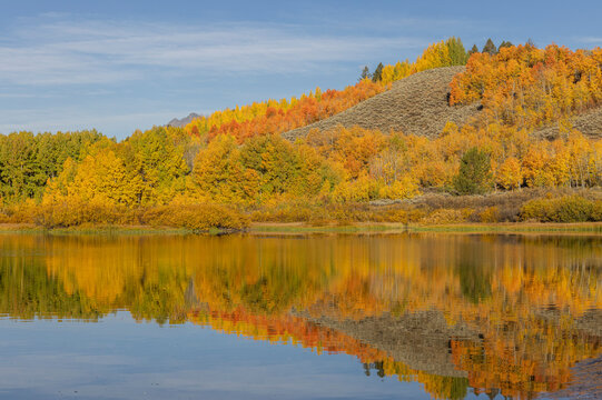Scenic Autumn  Landscape Reflection at Oxbow Bend in Grand Teton National Park Wyoming