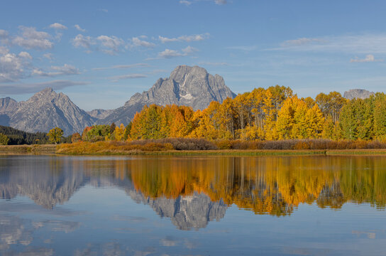 Scenic Autumn  Landscape Reflection at Oxbow Bend in Grand Teton National Park Wyoming