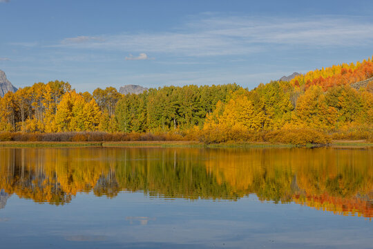 Scenic Autumn  Landscape Reflection at Oxbow Bend in Grand Teton National Park Wyoming