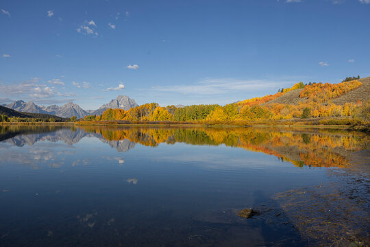 Scenic Autumn  Landscape Reflection at Oxbow Bend in Grand Teton National Park Wyoming