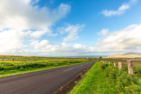 View of a paved road winding through a grassy landscape with rolling hills under a bright blue sky with clouds in Easter Island, Valparaiso, Chile.