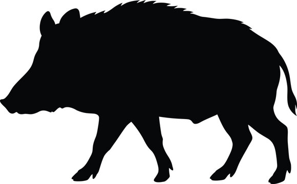 Wild boar silhouette vector. Wild hog vector icon