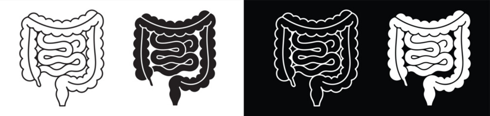 Fototapeta premium Medical human digestive system showing intestines in illustration of different styles and color variations