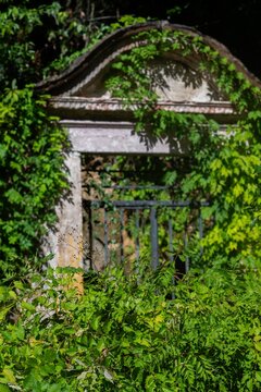 View of an old stone archway overgrown with lush green ivy and foliage in the Jardim Botanico da Universidade de Coimbra, Coimbra, Coimbra, Portugal.