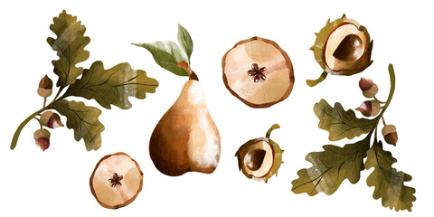 Seamless, botanical, autumn pattern. Delicious, juicy pears with acorns. Cider. Illustration for decoration. Wall wallpaper. © zezeland
