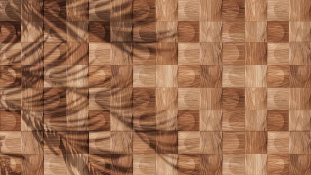 Wood panels pattern, empty wall background showroom with copyspace. Vegetation Shadows add shapes and details. Seamless loop