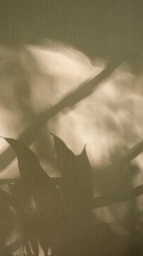 Authentic real scene of a cozy home interior. Opening curtains let in soft early morning sunlight. Delicate floral shadows, window blind, creating a warm and atmospheric mood. Atmospheric mood