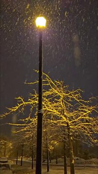 Snowfall Under a Streetlight on a Winter Night