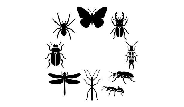 Insect Silhouette Vector Icon Collection with Crawling Flying and Walking Bug Glyphs Isolated on White
