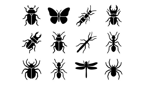 Insect Glyph Icon Set with Beetle Butterfly Earwig Stag Beetle Ant Dragonfly Spider and Phasmid Silhouettes