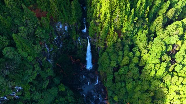 Cascata das Lombadas Waterfall Tucked Inside The Lush Vale das Lombadas On S&atilde;o Miguel Island In The Azores, Portugal. Aerial Drone Shot