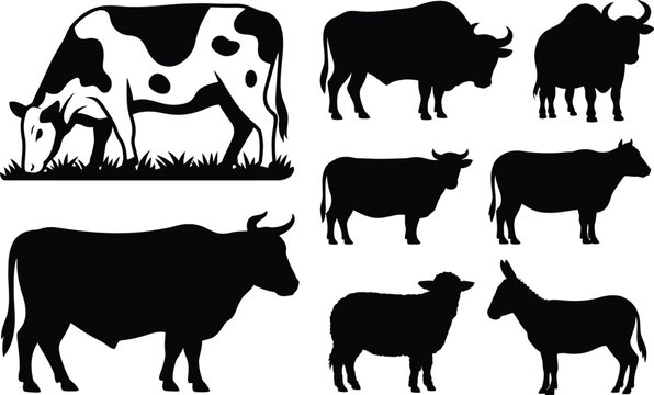 Farm livestock animals silhouette collection featuring vector silhouettes of grazing cow bull heifer sheep and donkey isolated on white background