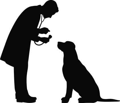 Veterinarian examining dog silhouette vector illustration featuring a male vet with stethoscope checking a sitting pet isolated on white background