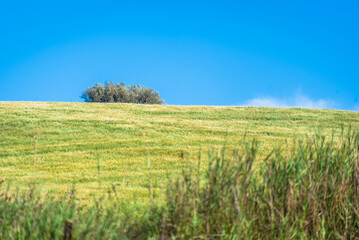 Obraz premium Sicilian Countryside near Favara, Agrigento, Sicily, Italy, Europe
