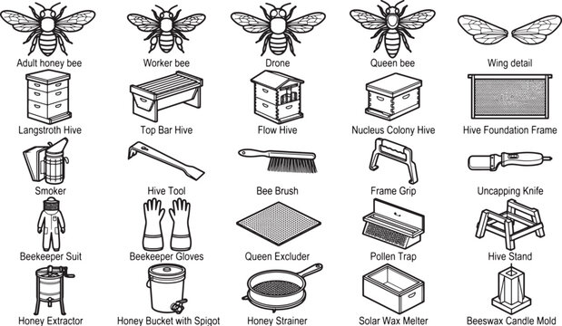 A comprehensive collection of beekeeping illustrations, detailing various hive types, tools, and bee classifications, presented in a clean, vector graphic style.